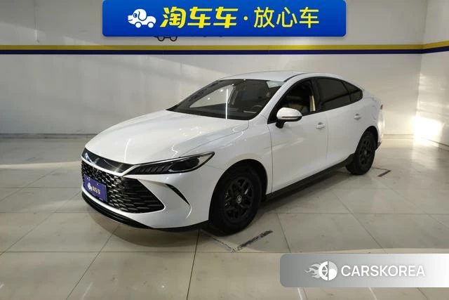 BYD Qin PLUS DM 2025 Белый из Китая