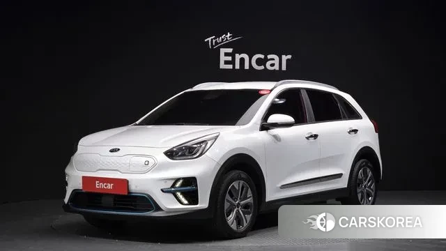 Kia Niro EV 2018 Белый из Кореи