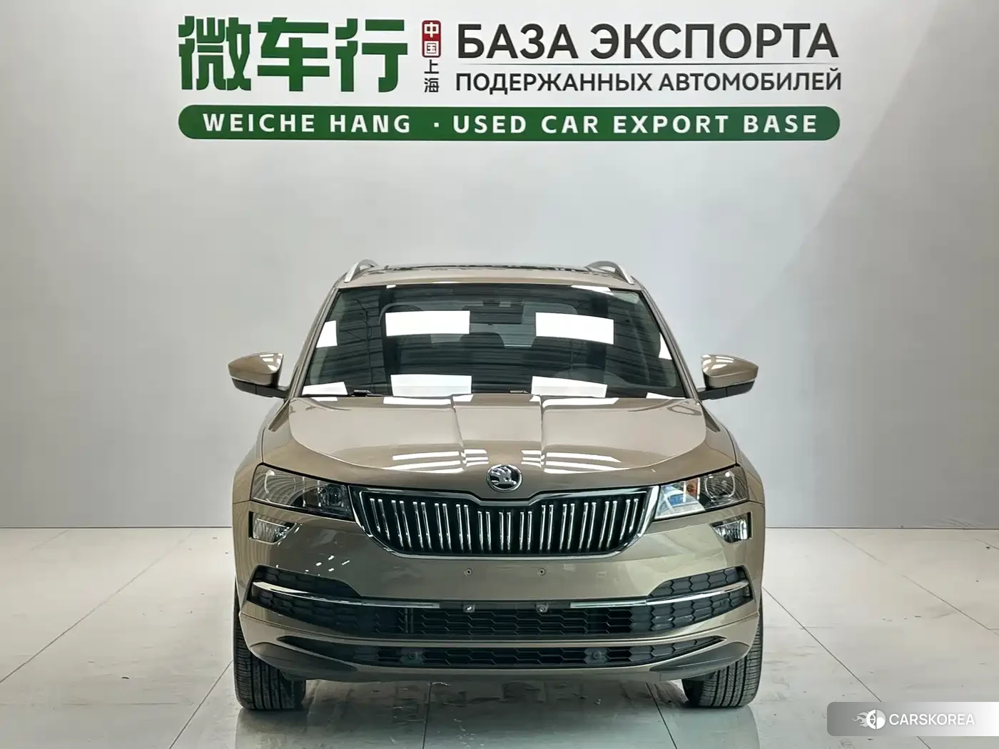 Skoda Karoq 2023 Champagne/brown из Китая