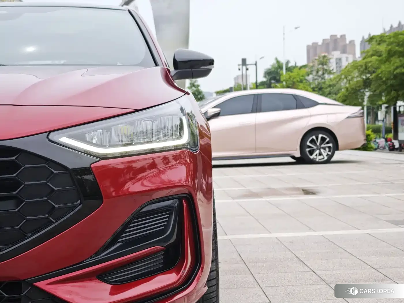 Ford Fox 2022 Red/purple из Китая