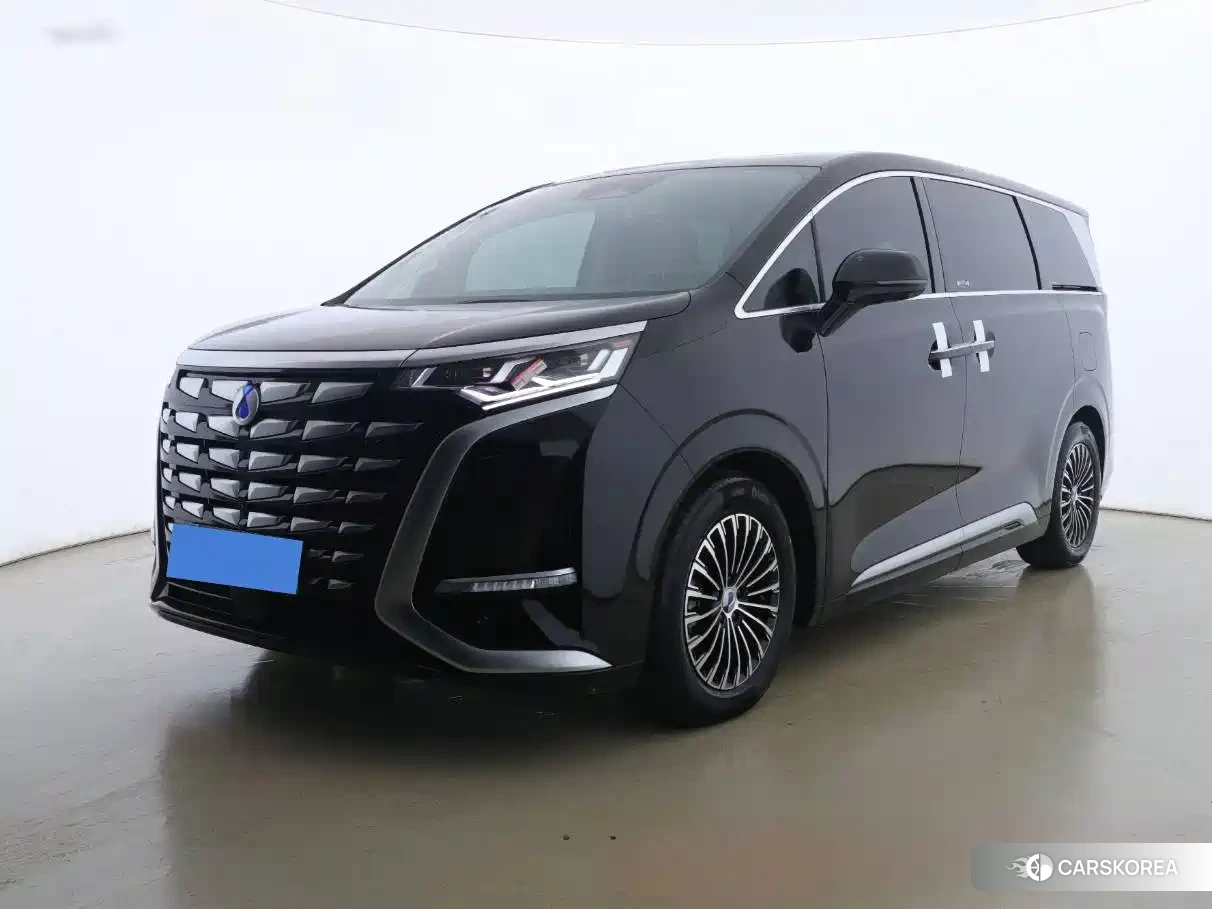 Denza D9 2024 Черный из Китая