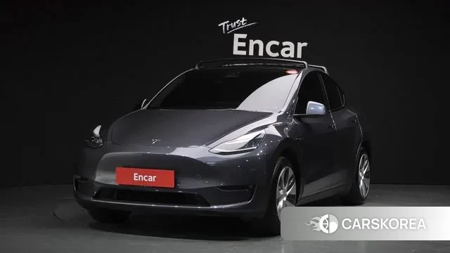 Tesla Model Y 2021 Серый из Кореи
