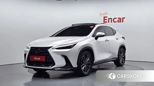 Lexus NX350h Second generation 2024 Белый из Кореи
