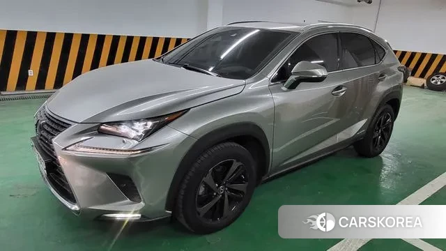 Lexus NX300h 2019 Серебристо-серый из Кореи