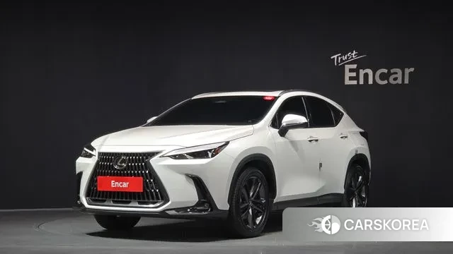 Lexus NX350h Second generation 2024 Белый из Кореи