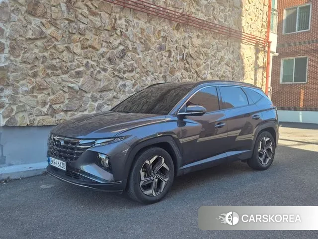 Hyundai Tucson (NX4) 2021 Серый из Кореи