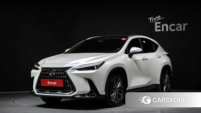 Lexus NX350h Second generation 2024 Белый из Кореи