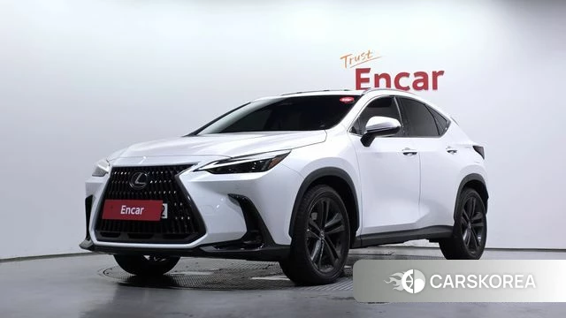Lexus NX350h Second generation 2024 Белый из Кореи