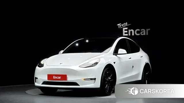 Tesla Model Y 2021 Белый из Кореи