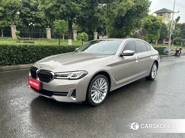 BMW 5 series 2023 Шампань из Китая