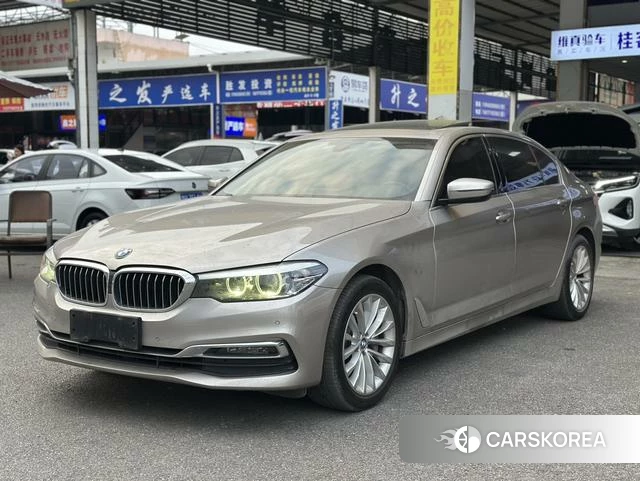 BMW 5 series 2019 Другой из Китая