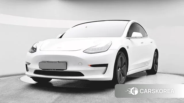 Tesla Model 3 2020 Белый из Кореи