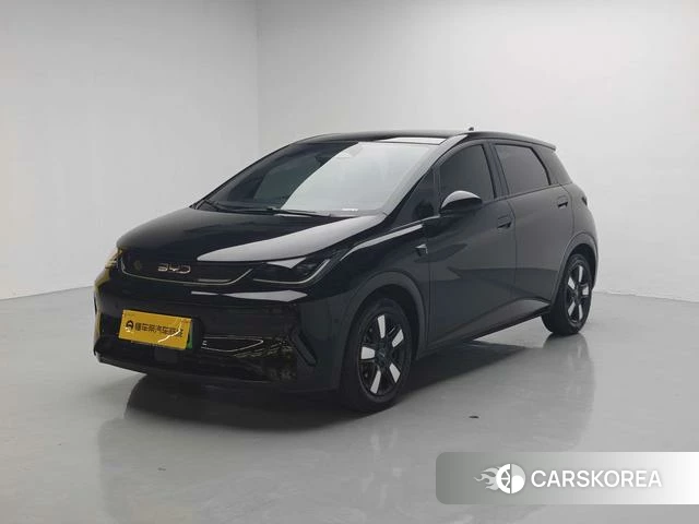 BYD dolphin 2025 Черный из Китая