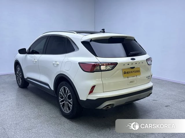 Ford Ruiji 2021 Белый из Китая