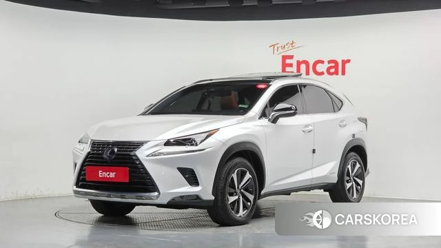 Lexus NX300h 2019 Белый из Кореи