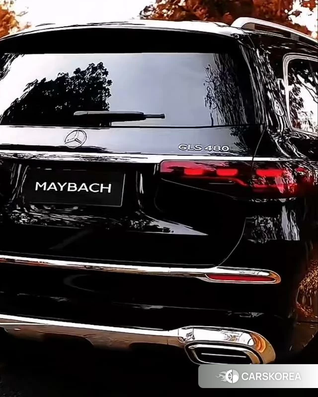 Mercedes-Benz GLS 2025 Черный из Китая