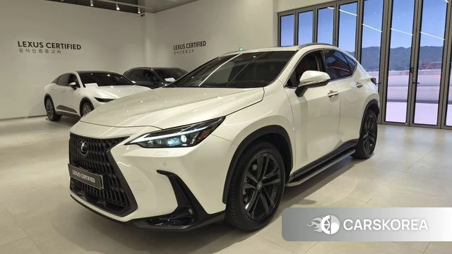 Lexus NX350h Second generation 2023 Белый из Кореи