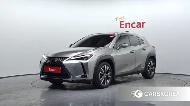 Lexus UX250h 2019 Серый из Кореи