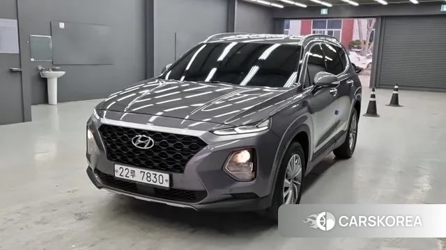 Hyundai Santa Fe TM 2019 Серый из Кореи
