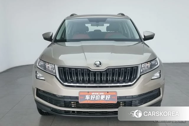 Skoda Kodiak 2020 Желтый из Китая