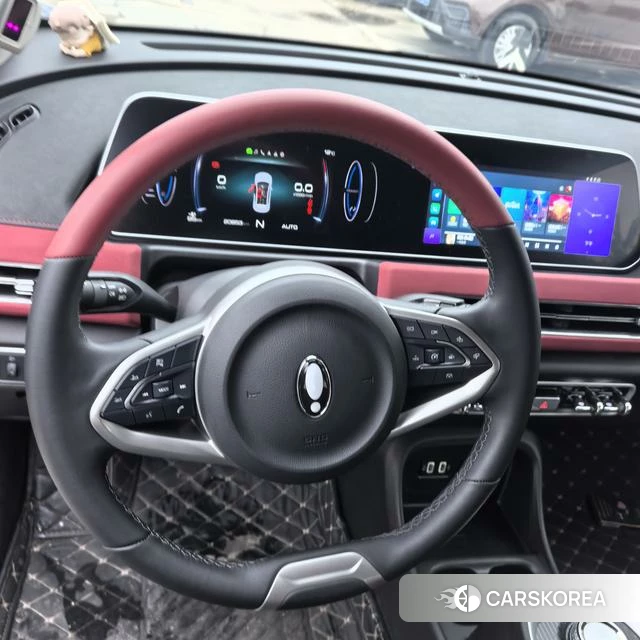 Euler Good cat GT 2023 Темно-серый из Китая