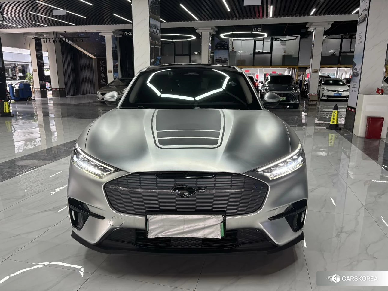 Ford Electric horse 2021 Серебристо-серый из Китая