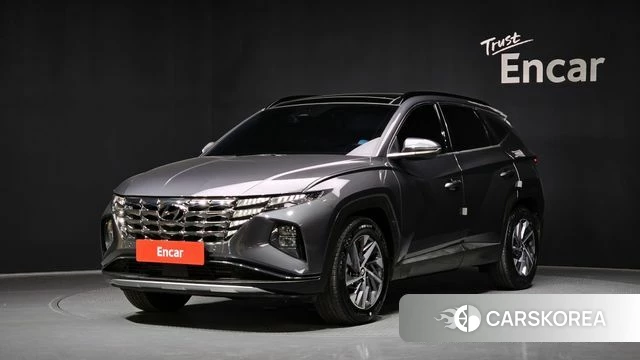 Hyundai Tucson Hybrid (NX4) 2022 Серый из Кореи