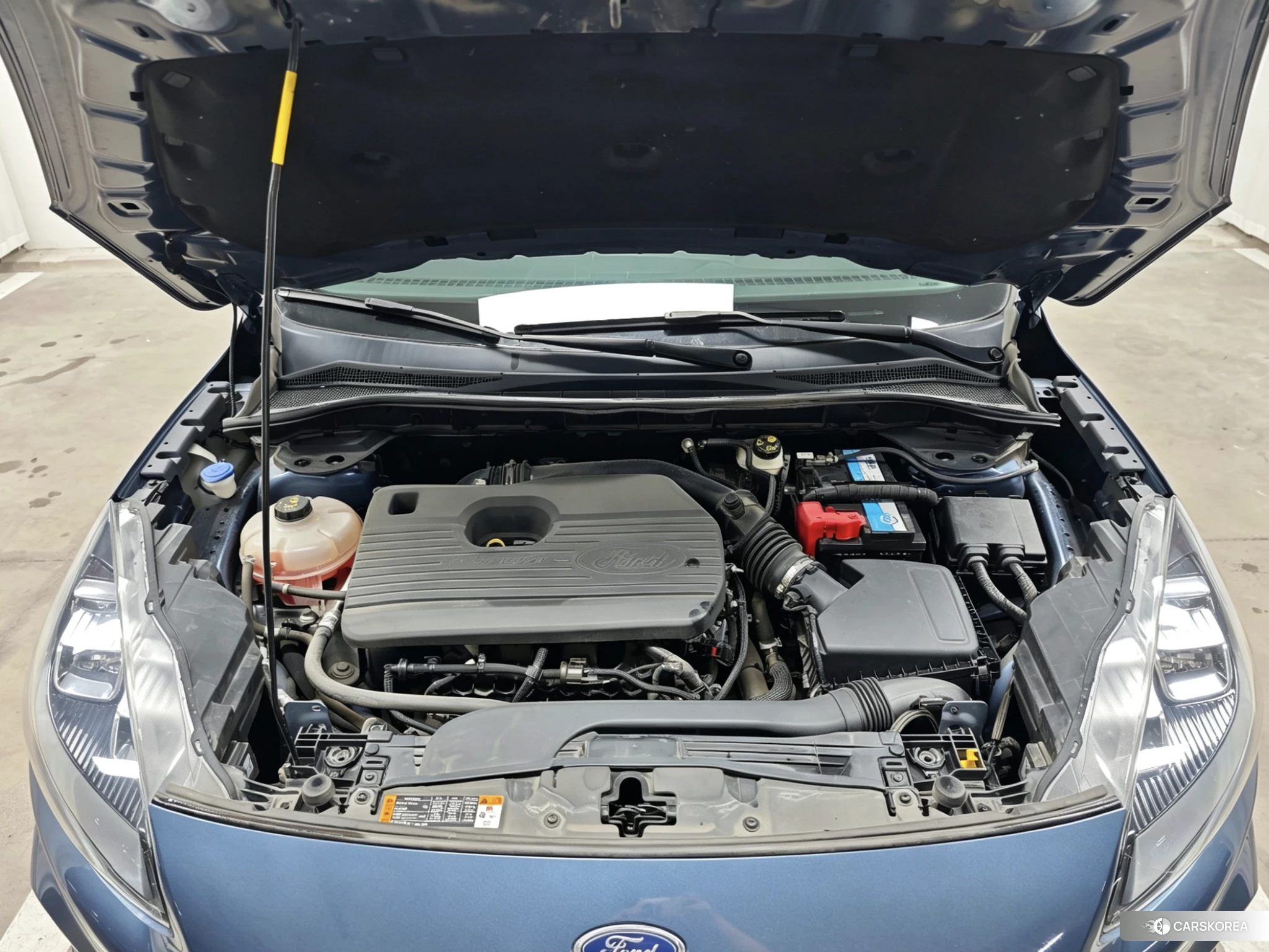 Ford Ruiji 2019 Синий из Китая