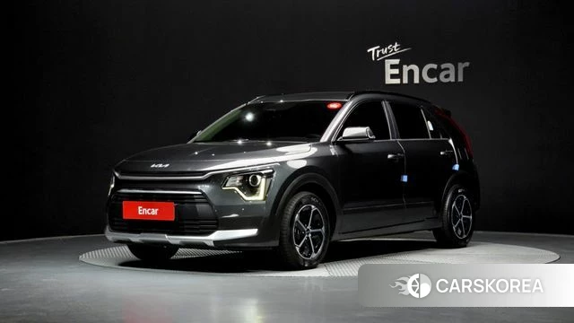 Kia Di Ol Nu Niro 2024 Серый из Кореи