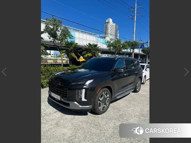 Hyundai The New Palisade 2024 Коричневый из Кореи