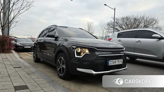 Kia Di Ol Nu Niro 2024 Цвет тростника из Кореи
