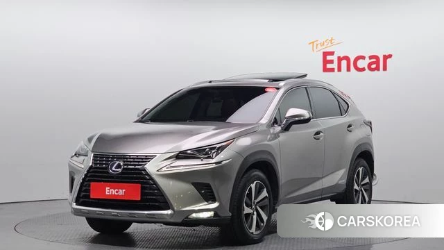 Lexus NX300h 2018 Серебряный из Кореи