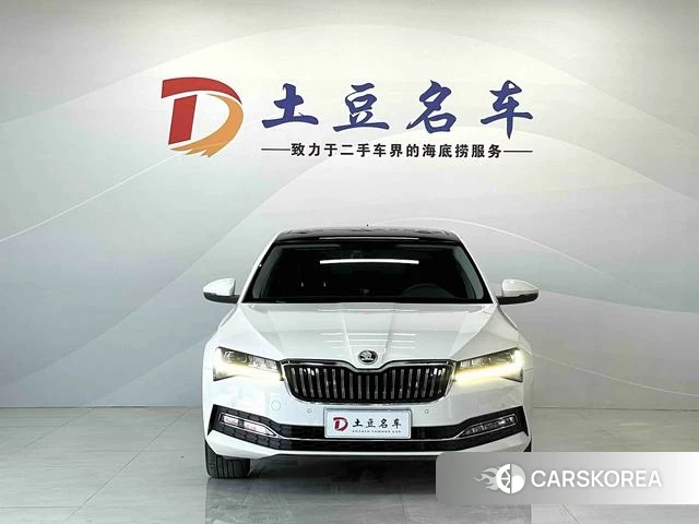 Skoda Speed pie 2021 Белый из Китая