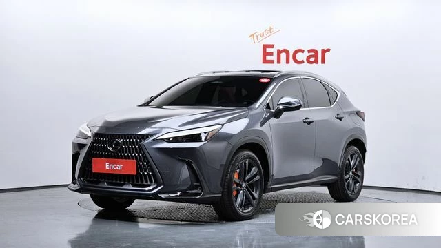 Lexus NX350h Second generation 2024 Серый из Кореи