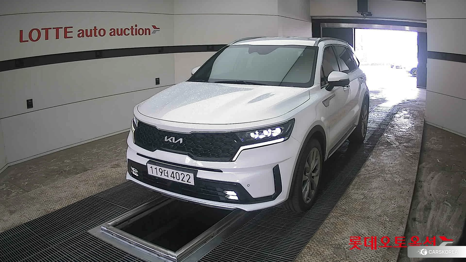 Kia Sorento 2022 Snow White Pearl (optional) из Кореи