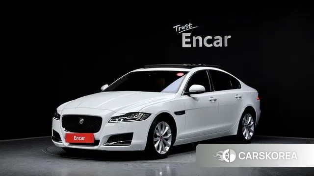 Jaguar XF (X260) 2019 Белый из Кореи