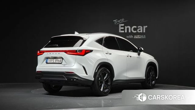 Lexus NX350h Second generation 2024 Белый из Кореи