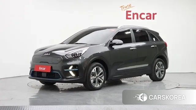 Kia Niro EV 2021 Серый из Кореи
