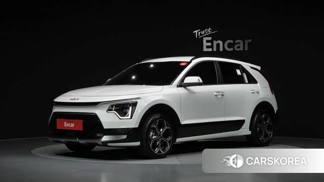 Kia Di Ol Nu Niro 2024 Белый из Кореи