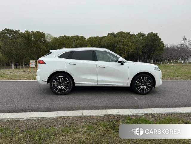 Wei Pai Mocha 2023 Белый из Китая