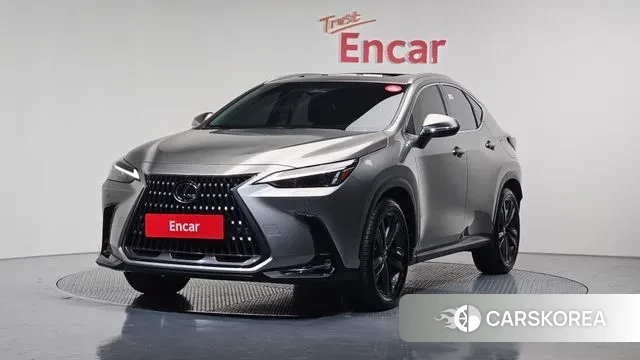 Lexus NX350h Second generation 2024 Серый из Кореи