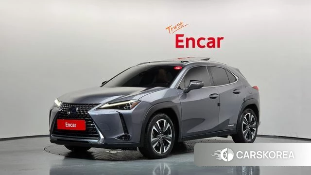 Lexus UX250h 2019 Серебристо-серый из Кореи
