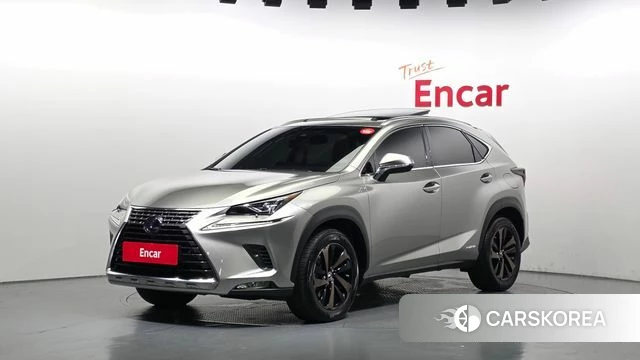 Lexus NX300h 2018 Песочный из Кореи