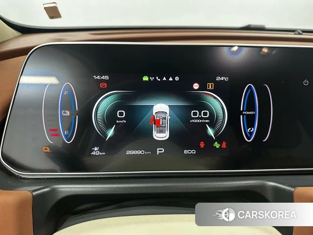 Euler Good cat 2024 Другой из Китая