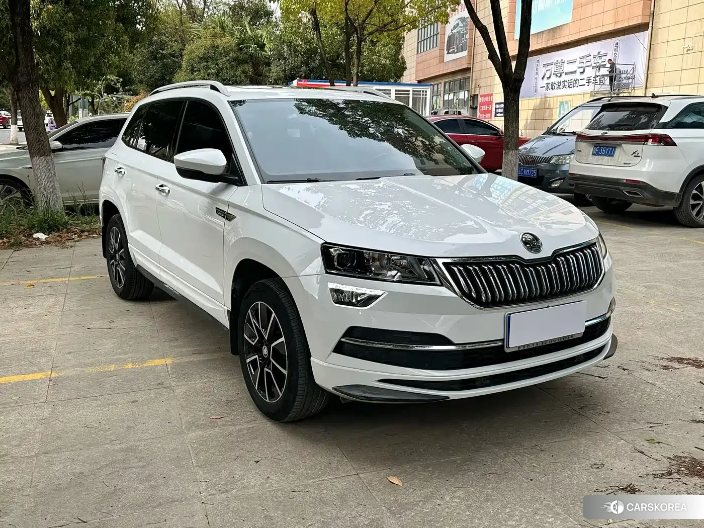 Skoda Karoq 2023 Белый из Китая