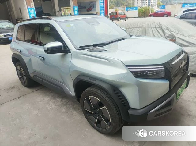 Leopard Titanium 3 2025 Другой из Китая