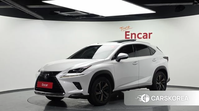 Lexus NX300h 2019 Белый из Кореи