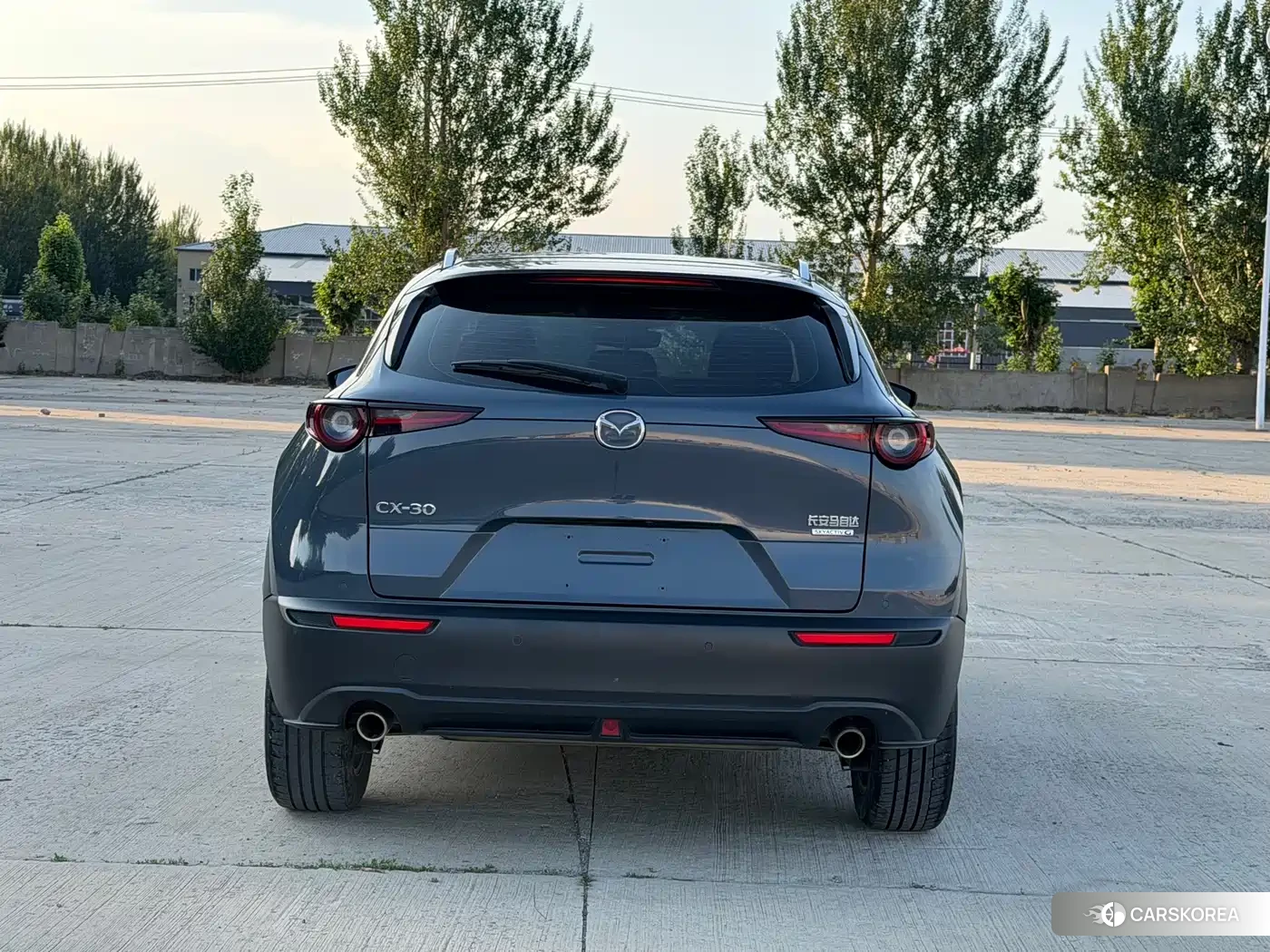 Mazda CX-30 2022 Silver/gray из Китая