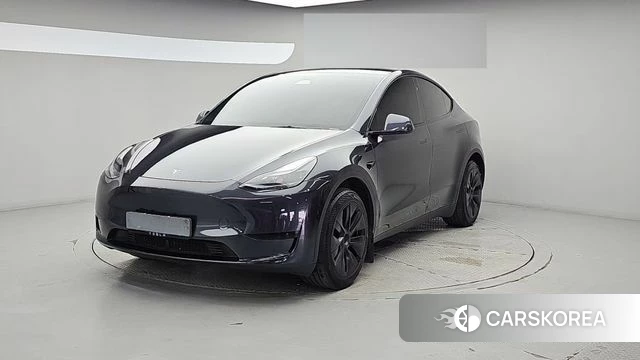 Tesla Model Y 2025 Серый из Кореи