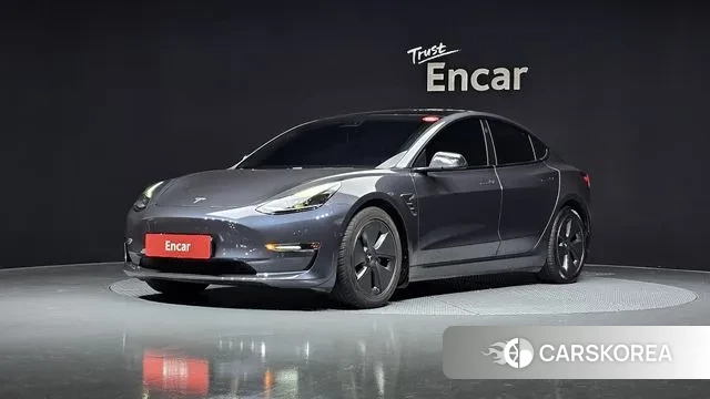 Tesla Model 3 2021 Серый из Кореи